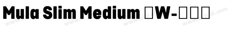 Mula Slim Medium 中W字体转换